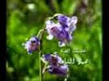 للمزيد اتصل ب 0020123601639