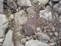 Creekwalking, In Situ Arrowheads 3/22/09