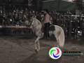 videos de JOSE MANUEL FIGUEROA EN TEHUACAN