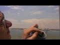 Beached Whaler 7