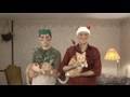 Christmas Laser Beam Cats