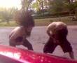 head banging