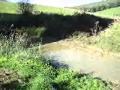 Guarda il video