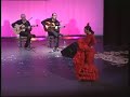 BAILAORA FLAMENCO. SANDRA GUERRERO LA NEGRA. BAILE FLAMENCO