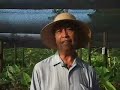 EARTH University Foundation - Banana Production