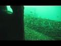 Wreck Diving - Kingston, Ontario View Video