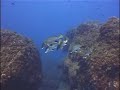 Islas Medas - El Salpatxot