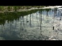 Deux canards (Two Ducks) Deux canards (Two Ducks)