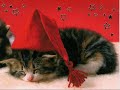 christmas animlas!!! christmas animlas!!!