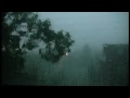 Seen From A 3rd Story Window