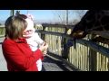 YouTube - Isabelle and the Giraffe