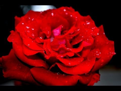 how to beat one chance