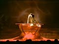 Wasserakrobatik Amazonia Aquashow Das Original !!