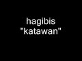 hagibis