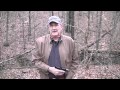 FAQ 41 (Ammo Recommendation)