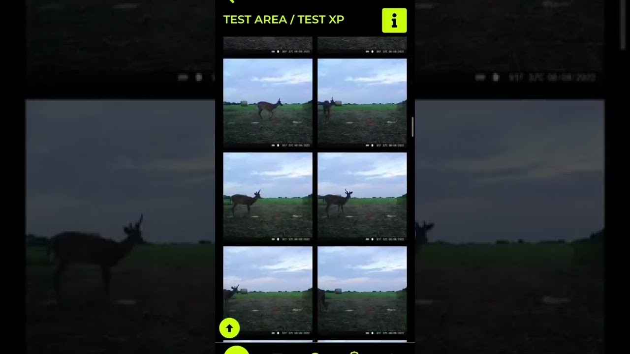 Our Attractant vs 3 other brand attractants