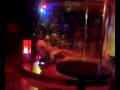 I Wanna Take You To A Gay Bar...