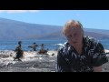 Richard Dawkins explains how vestigial organs like the stubby wings of the Flightless Cormorant were one of Darwin's key arguments for Evolution. Download Quicktime version (720p HD): cdn.cloudfiles.mosso.com Get the RDF TV podcast through iTunes! itunes.apple.com 