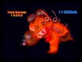 Video recorded by Master LL ( themasterll.net ) Synchronization 