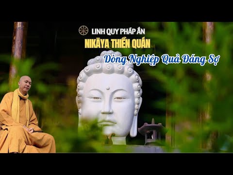 NIKAYA Thiền Quán - Dòng Nghiệp Quả Đáng Sợ