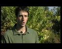 Interview de Tony Estanguet. Part 1