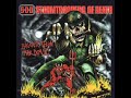Stormtroopers Of Death - Celtic Frosted Flakes