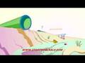 Plus de blabla (clip dessin anime) BlaBlaBla ça suffit