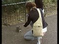 St. James Park London - Mind The Gap