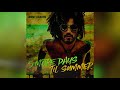 Lenny Kravitz - 5 More Days 'Til Summer tekst piosenki