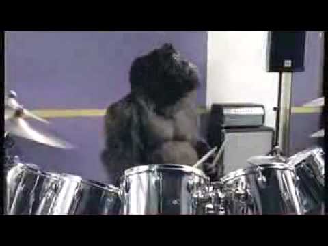 Gorrila Drumer - In The Air Tonight