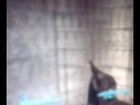 Fallout 3 Door to nothing.... =/ Fallout 3 Door to nothing.... =/
