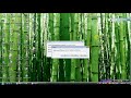 YouTubeサムネイル[lBsWX1znl8g] - 2枚目