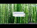YouTubeサムネイル[lBsWX1znl8g] - 3枚目