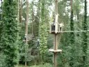 Joolz's Tarzan Swing