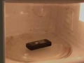 This Happens When You Pop A Mobile Phone In A Microwave