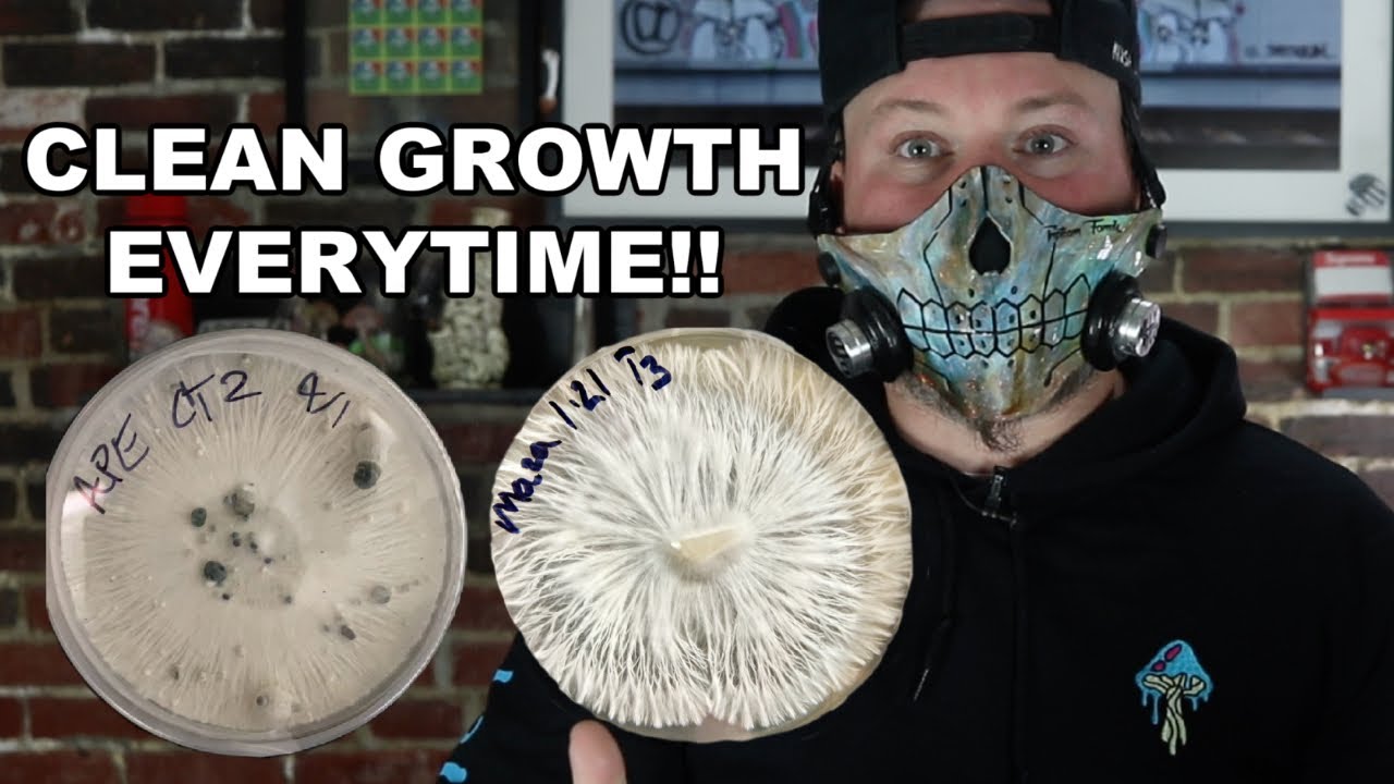 Simple trick for open sterile work without a flow hood!!