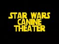 Re: Halloween Pet Costumes