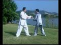 Li Yuchuan (???) - Mizongquan (???) two-person drills