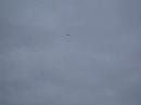 new cessna flight