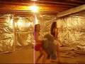 videos de Cousins in crime
