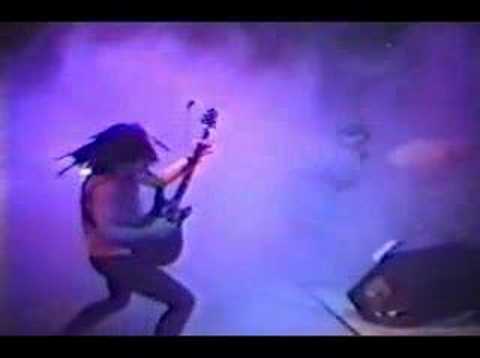 Live Music Show - Lollapalooza