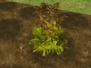 videos de The Sims 2 Season - My First Dead Plant =(