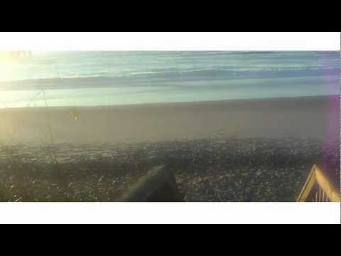 Jamison Bethea - SEASHELLS