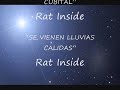 Art Rat ( Oceano Cosmico ) Art Rat ( Oceano Cosmico )