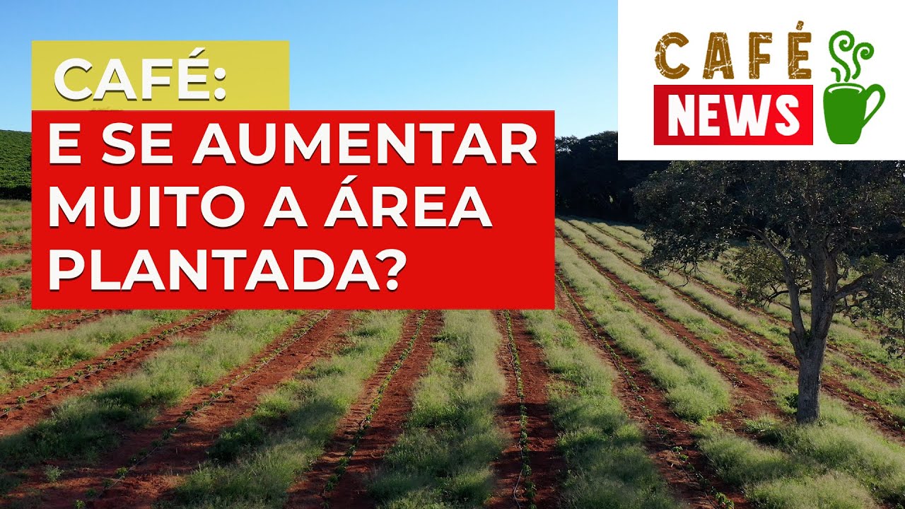 E se a área plantada de café aumentasse 15%, qual seria o impacto no Mercado? | No Pé do Café