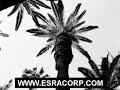 ISO 14001 - ISO 14001 Training - ISO 14001 Certification