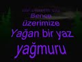 ercan gulnahar