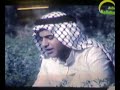 سرب الحمام .mp4