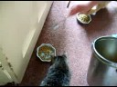 Etenstijd! - Dinner Time!