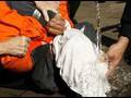 Obama Admin: Torture Not Illegal, Just A Disagreement